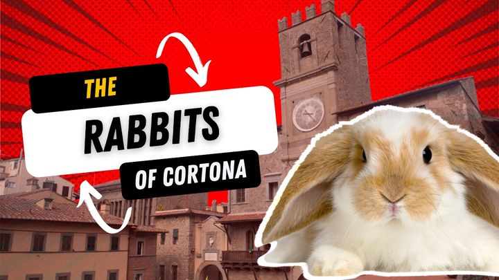 The Rabbits Of Cortona